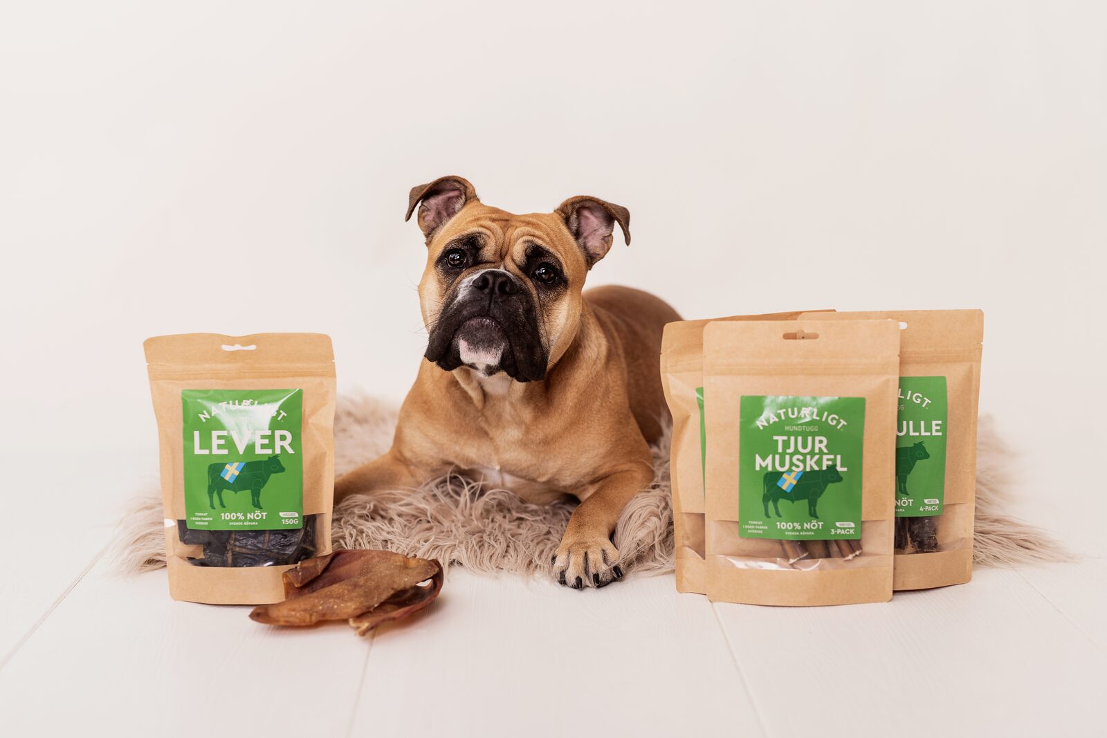 Natural Dog Treats: Our Big Guide